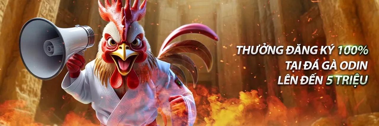 Liên hệ ff168 chính thức để nhận hỗ trợ nhanh chóng